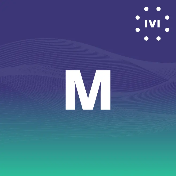 ivi Paket M (500€ mtl. Mindestumsatz)