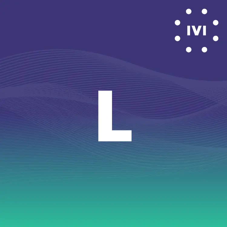 ivi Paket L (1000€ mtl. Mindestumsatz)