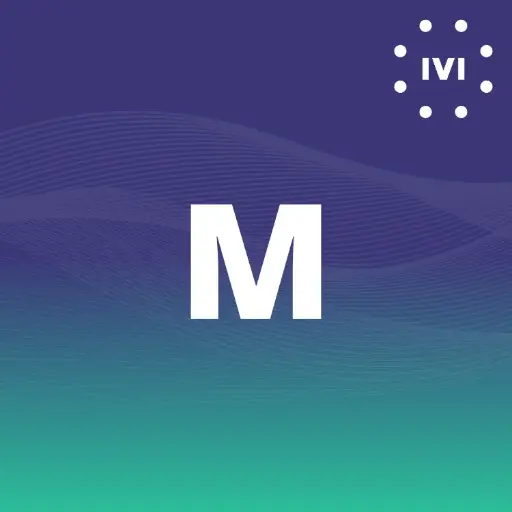 [5302021] ivi Paket M (500€ mtl. Mindestumsatz)